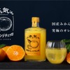 【南イタリアの伝統酒を日本で再構築！】国産クラフトリキュール「本気の国産オレンジチェッロ」販売 画像