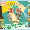 【発泡酒「湘南ゴールドエール」がビールに格上げ！】果実香る「湘南ゴールドビール」発売 画像