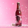 【飲む桜餅！ホワイトデーやお花見にぴったり】桜の花と葉を使用した春限定ビール「サンクトガーレン さくら」発売 画像