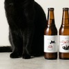 【黒猫のおきもちビール2種「おめでと」「ありがと」登場！】LINEギフト限定で販売 画像
