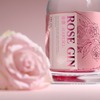 【国産バラと14種のボタニカルのジン！】「ROSE GIN 春葵 -HARUKI-」が抽選販売開始 画像