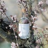 【希少な「梅の花」が主役のフラワージン！】「naturadistill 梅花蜜柑蒸溜酒（Ume Blossom Mikan GIN）」先行予約受付が開始 画像
