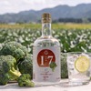 【石川県産ブロッコリーを使用したクラフトジン！】県ジンプロジェクト第19弾「石川県ジン」発売 画像