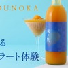 【酔えるジェラート！】冷凍庫で凍らせて食べる新しいタイプの果実酒「氷ノ果 -完熟マンゴー」販売 画像