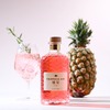 【7種の天然由来ボタニカル使用！】トロピカルなクラフトジン「TROPICAL GIN 燦果 -sanka-」販売開始 画像