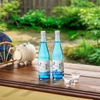 【夏限定しぼりたて！】特撰 白鶴 御影郷「純米大吟醸生酒」「大吟醸生酒」が数量限定発売 画像