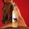 【飲んで馬を救う！人参焼酎ベースの「馬旨檸檬サワー」が登場】売上の一部を引退馬支援に寄付 画像