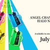 【専用Trunk（トランク）はエナメル素材！】ラグジュアリーシャンパーニュ「ANGEL CHAMPAGNE HALO Neon」販売 画像