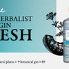 【初夏の水辺を思わせる瑞々しさ！】新作ジン「THE HERBALIST YASO GIN FRESH」発売 画像