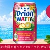 【夏にぴったりのご当地感あふれるチューハイ！】「オリオン WATTA アセローラ＆シークワーサー」数量限定発売 画像