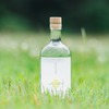 【日本の夏を愉しむジン！】季節限定シリーズ第四作「naturadistill 甘夏薄荷蒸溜酒（Amanatsu Hakka GIN）」先行予約受付開始 画像