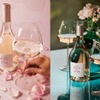 【イタリア・ヴェネトの名門MASIが贈る！】新生「ROSA dei MASI（ローザ・デイ・マァジ）」日本新発売 画像