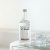 【石垣島のボタニカル探検！】クラフトジンシリーズ第1弾「YAESEN GIN 01（八重泉ジン01）」発売 画像