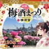 【120種以上の梅酒が横須賀に集結！】「全国梅酒まつり in 横須賀2026」秋バラと共に3日間開催 画像