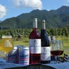 【ブドウのビールとジン！？】「Far Yeast Grapevine 2026」「Azeotrope Grapevine GIN」発売 画像
