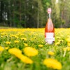 【パイ着想のクラフトリキュール！】「Rhubarb Pie ルバーブ＆バニラ」「Blueberry Pie ブルーベリー＆バニラ」日本初上陸 画像