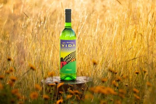 メスカル | nomooo（ノモー）