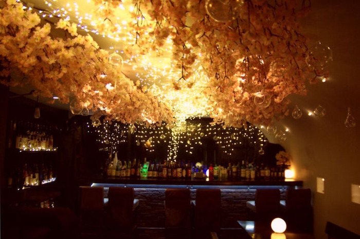 吉祥寺に新デートスポット誕生！？「吉祥寺 夜桜 2018 -光の河-」が気