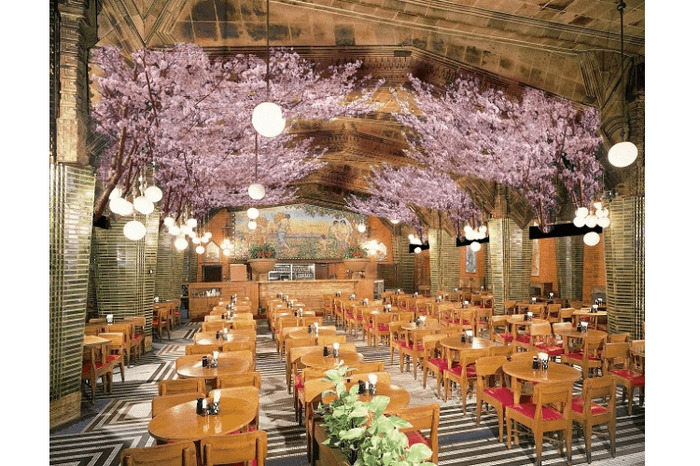 室内でお花見 座ってゆっくり楽しめる お花見ビヤホール 開催 Nomooo ノモー