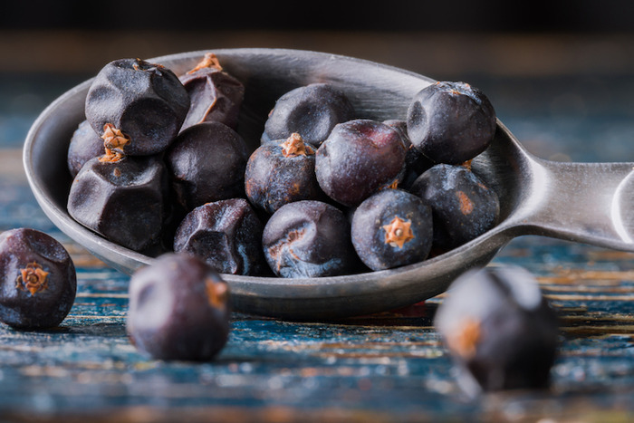 ジンの香りはコレ！ジュニパーベリーの使い方と豆知識～ボタニカル