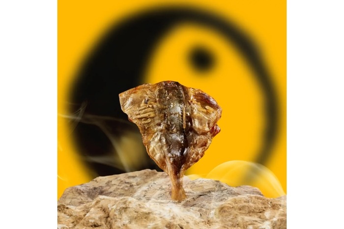 ファミマ限定！珍味・おつまみギフト専門店監修したおつまみシリーズ