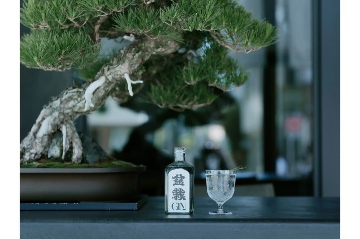 盆栽の主役「松」のクラフトジン！】「LUO 盆栽ジン-Bonsai Gin-」販売