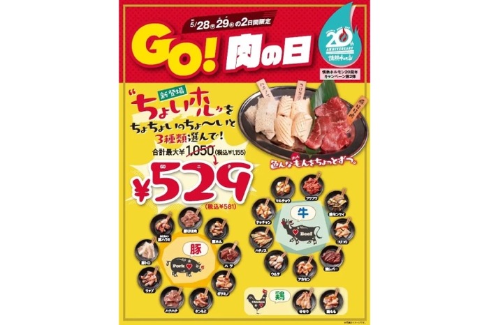 激安！ホルモン3皿で529円！？】肉好き歓喜！「情熱ホルモン」が本気出