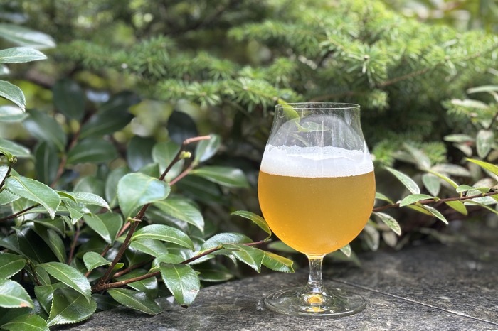 森の香りを纏った1本！よなよなビアワークス限定クラフトビール】第42