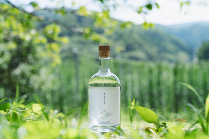 収穫から1時間の採れたてホップ使用！】クラフトジン「naturadistill