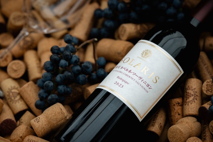 100%有機栽培区画ぶどう仕込み！】「ソラリス 千曲川 カベルネ