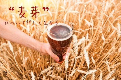 【ビール豆知識】ビールの味を左右する！？麦芽について詳しくなろう！ 画像