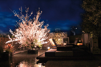 代官山で夜桜を楽しむ！「XEX 」から旬の食・桜のお酒を味わう花見コース登場 画像