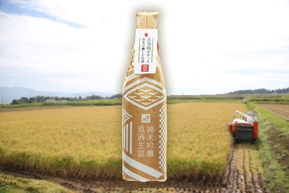 吉乃川が酒米を自家栽培！「五百万石」使用の日本酒『純米吟醸 原酒生詰』販売 画像