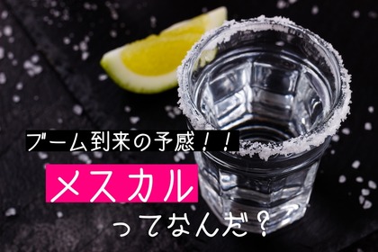 メキシコ名産のお酒「メスカル」とは？テキーラとの違いも解説 画像