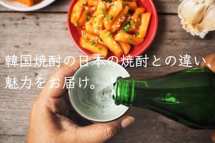 韓国焼酎「ソジュ」と日本の焼酎の違いを徹底解説！オススメ銘柄も紹介 画像