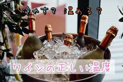 【ソムリエコラム】温度によって味わいが変わる！ワインを飲む際の適温とは？ 画像