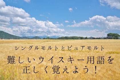 【覚えておきたいウイスキー用語】シングルモルトとピュアモルトの違いとは？ 画像