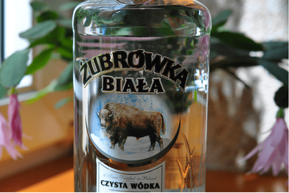 桜餅の香りがする人気のウォッカ「ズブロッカ」 特徴とおすすめの飲み方 画像