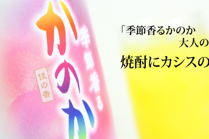 焼酎にカシスの香り？新発売の「季節香るかのか 大人のカシス」を色んな飲み方で飲んでみた！ 画像