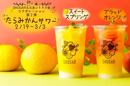 高品種・高品質な「たらみかんサワー」が果実酒専門店に期間限定で登場！ 画像