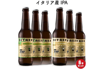 日本初上陸の「イタリア産IPA」の6本セットが