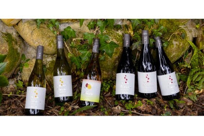 ワイナリー「ドメーヌ・ボー」の初ヴィンテージのワイン6種が全国発売！ 画像