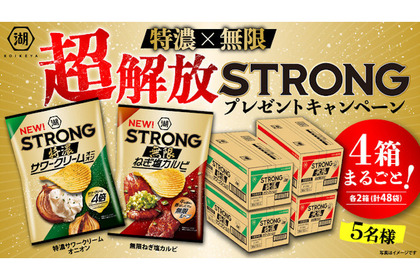 湖池屋ＳＴＲＯＮＧが発売4年目を記念して新フレーバー2種の発表＆「特濃✕無限 超解放ＳＴＲＯＮＧキャンペーン」を実施 画像