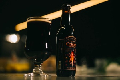 「コオロギビール / Cricket Dark Ale」の最新作を「ANTCICADA」が販売！ 画像