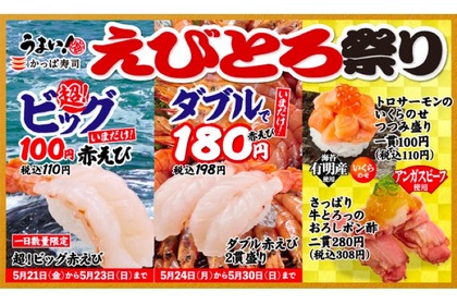 かっぱ寿司全店で10日間限定の企画「えびとろ祭り」が開催！ 画像