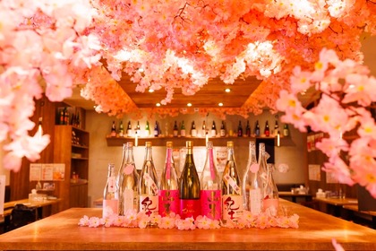 店内でお花見！「日本酒原価酒蔵　店内お花見キャンペーン」が開催 画像