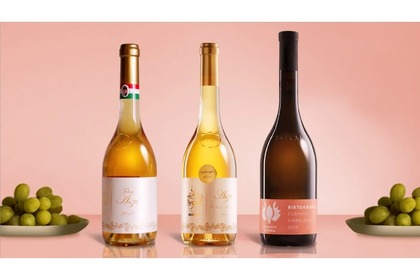 日本初輸入！ハンガリー産のデザートワイン「トカイワイン」が登場 画像