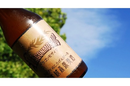 秋限定の地ビール「富士桜高原麦酒　ドラゴンモザイク」がリニューアルして新発売！ 画像