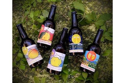 京都のクラフトビール「Terroir KYOTO」シリーズ5種が販売！ 画像