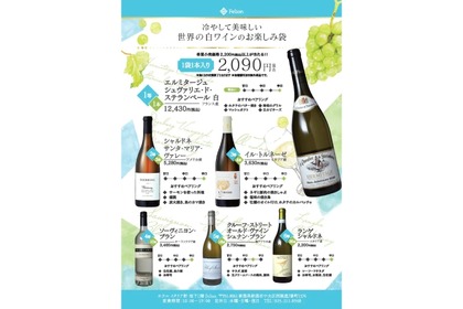 Felionが夏にぴったりな「各国の白ワインを集めたお楽しみ袋」を販売！ 画像